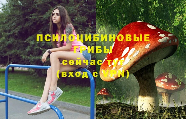 шишки Баксан