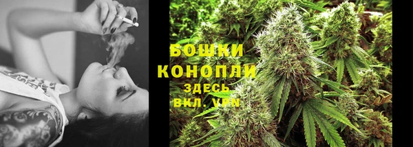 шишки Баксан