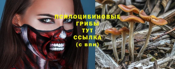 Альфа ПВП Балабаново