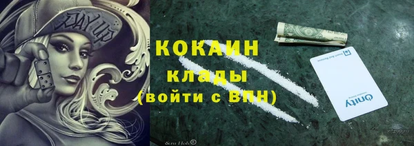 шишки Баксан