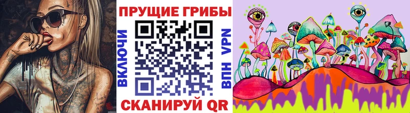 Галлюциногенные грибы Cubensis Голицыно